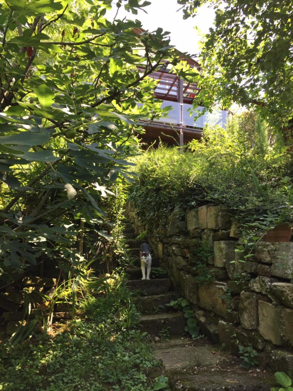 Pergola House In A Green Oasis With Fantastic View Apartment Petrovaradin Bagian luar foto