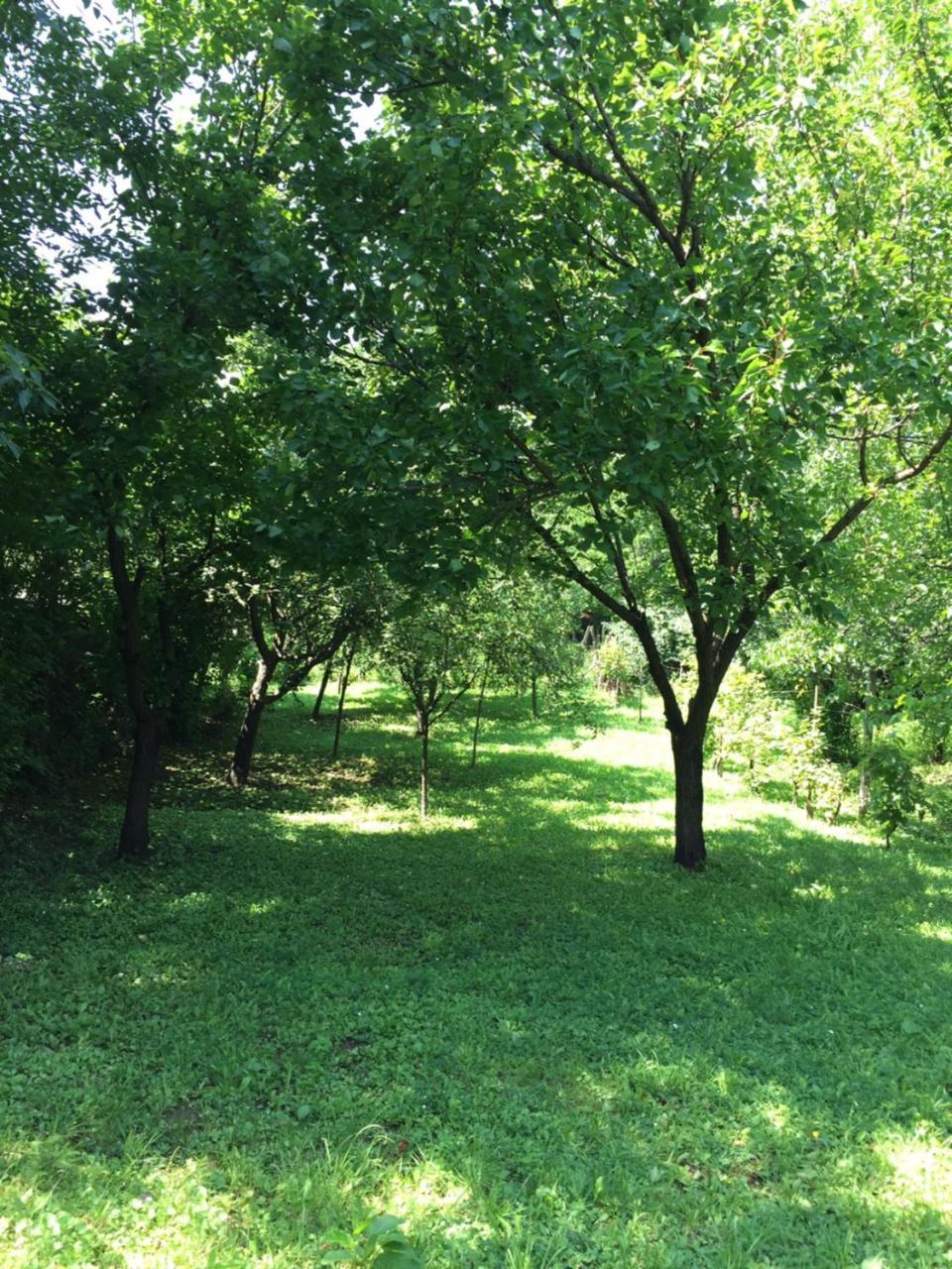 Pergola House In A Green Oasis With Fantastic View Apartment Petrovaradin Bagian luar foto