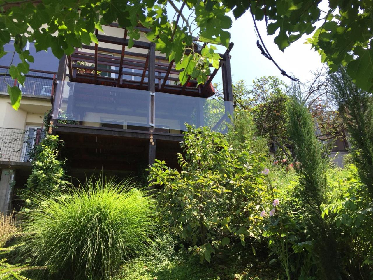 Pergola House In A Green Oasis With Fantastic View Apartment Petrovaradin Bagian luar foto