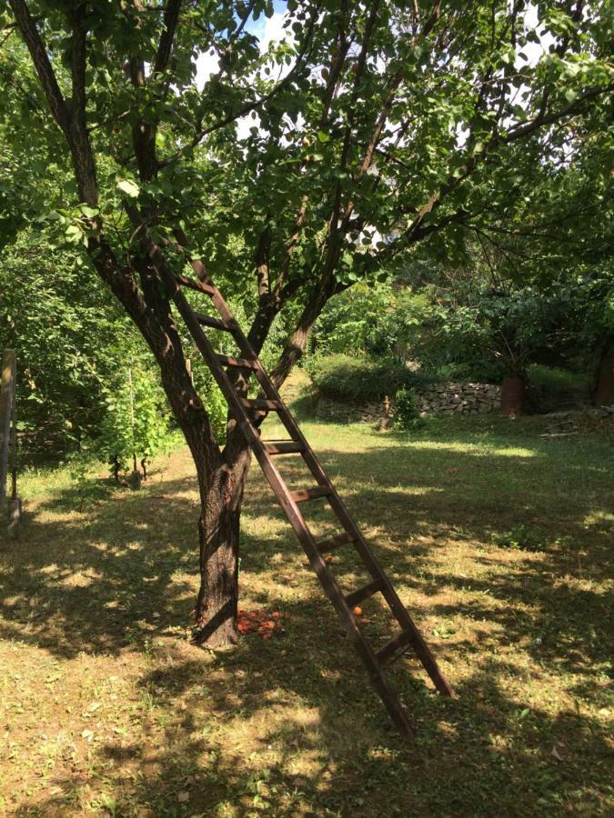 Pergola House In A Green Oasis With Fantastic View Apartment Petrovaradin Bagian luar foto