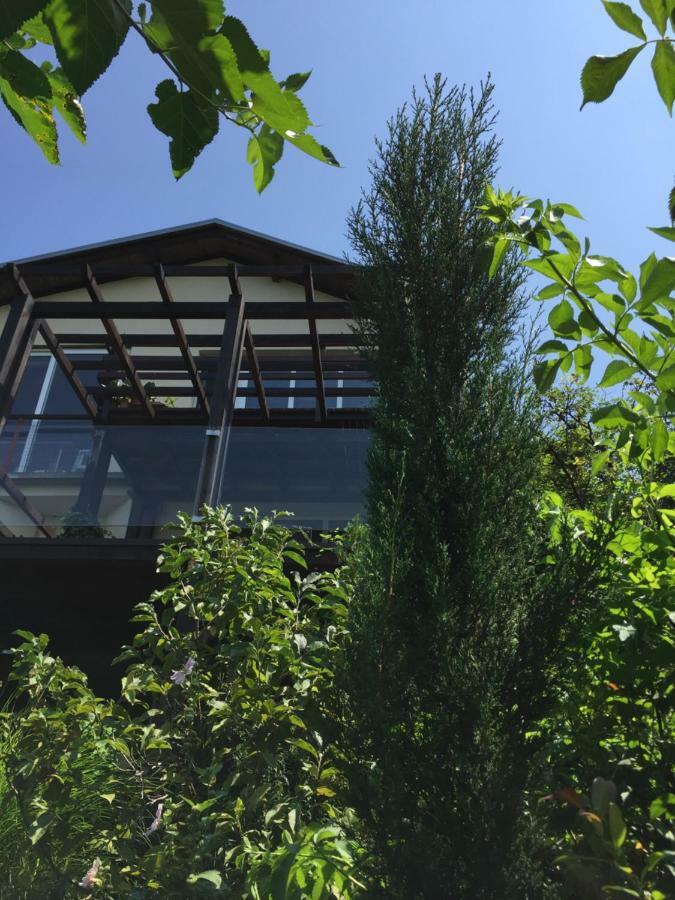 Pergola House In A Green Oasis With Fantastic View Apartment Petrovaradin Bagian luar foto